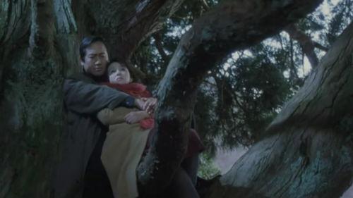 透光的树在线观看,透过树叶的时光之旅 第3张 透光的树在线观看,透过树叶的时光之旅 第3张