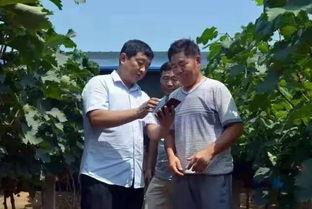 焦作大爷最新爆料,最新爆料背后的惊人真相 第1张 焦作大爷最新爆料,最新爆料背后的惊人真相 第1张