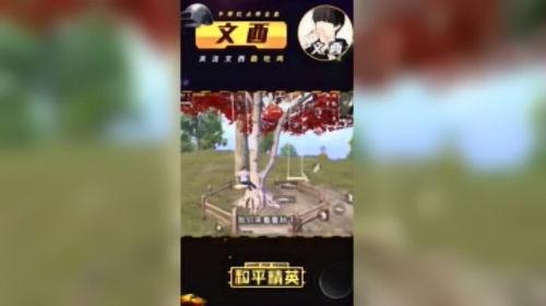 和平精英文西最新爆料,最新爆料揭秘游戏幕后故事 第1张 和平精英文西最新爆料,最新爆料揭秘游戏幕后故事 第1张